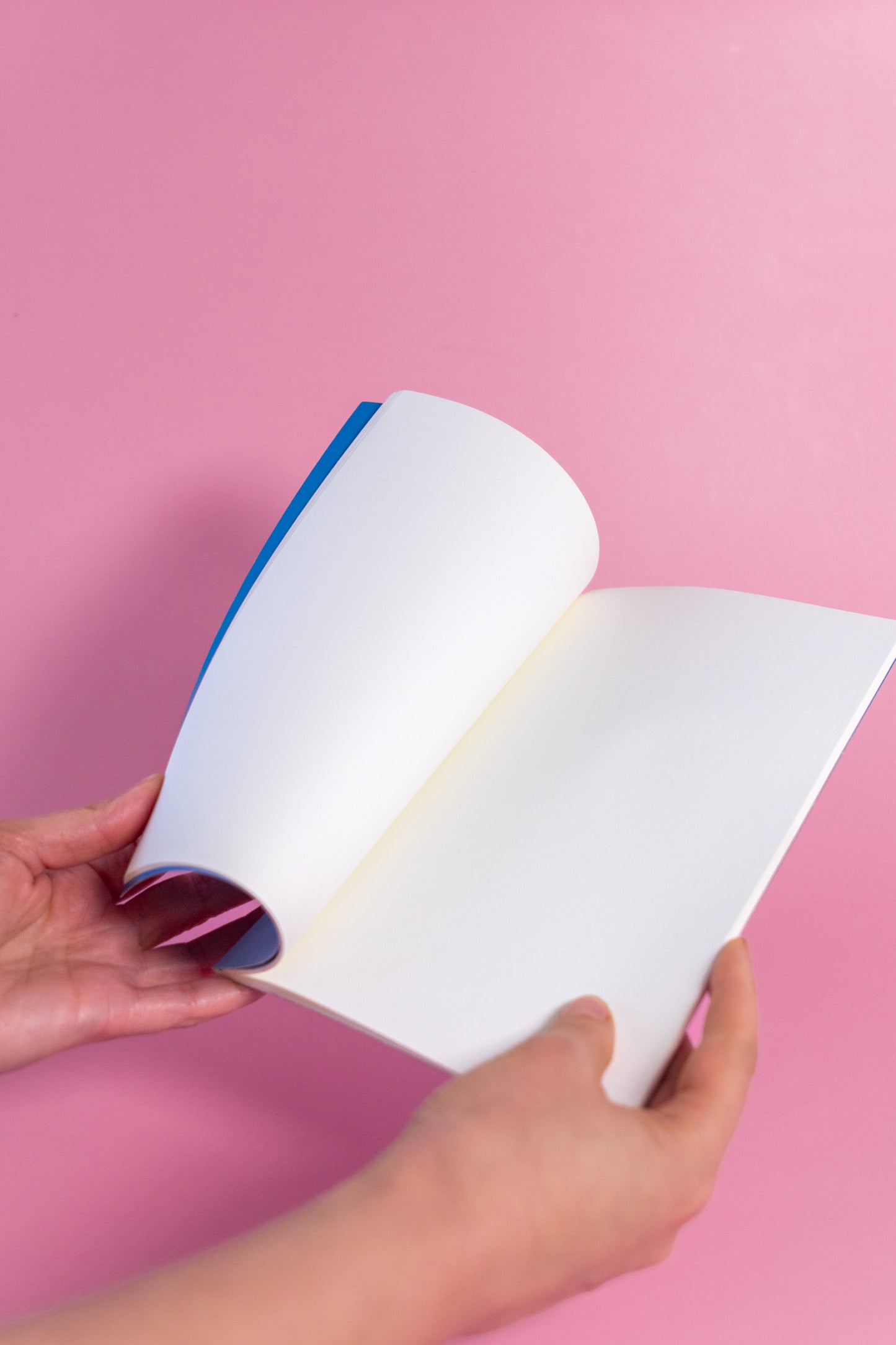 Libreta "Lluvia de cerezas"